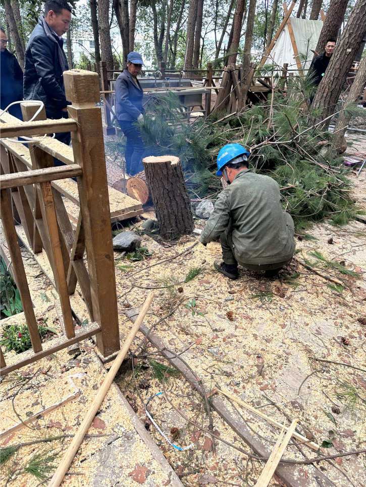 排除隱患，國資公司砍樹解民憂