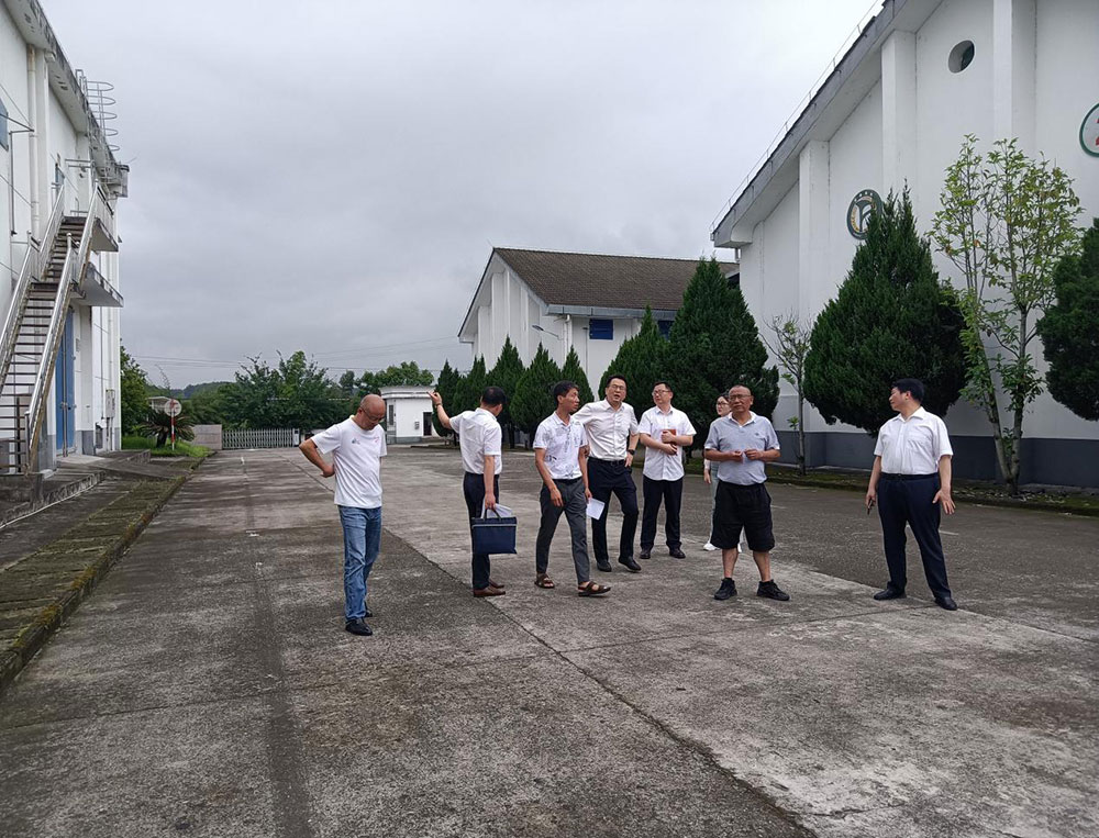 國投集團(tuán)邵楠總經(jīng)理帶隊(duì)到糧儲公司指導(dǎo)安全生產(chǎn)工作