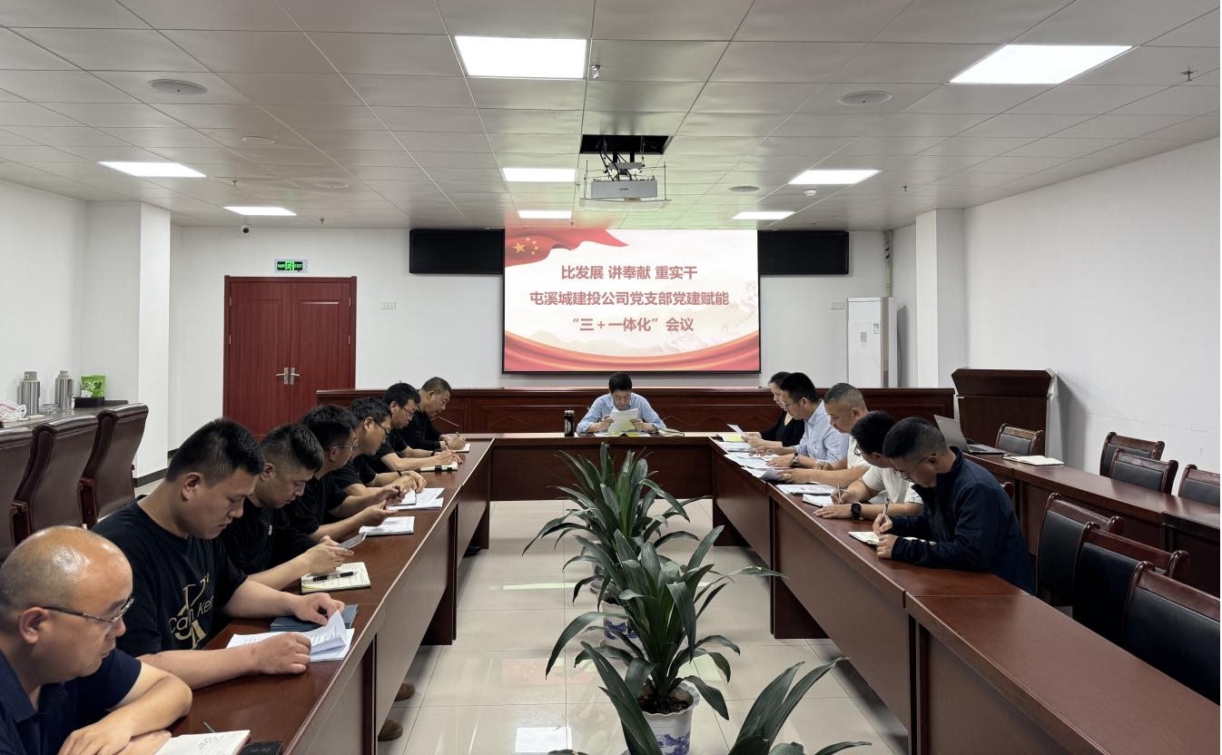 區(qū)國投集團城建投公司黨支部：黨建賦能助推項目建設(shè)提質(zhì)增效